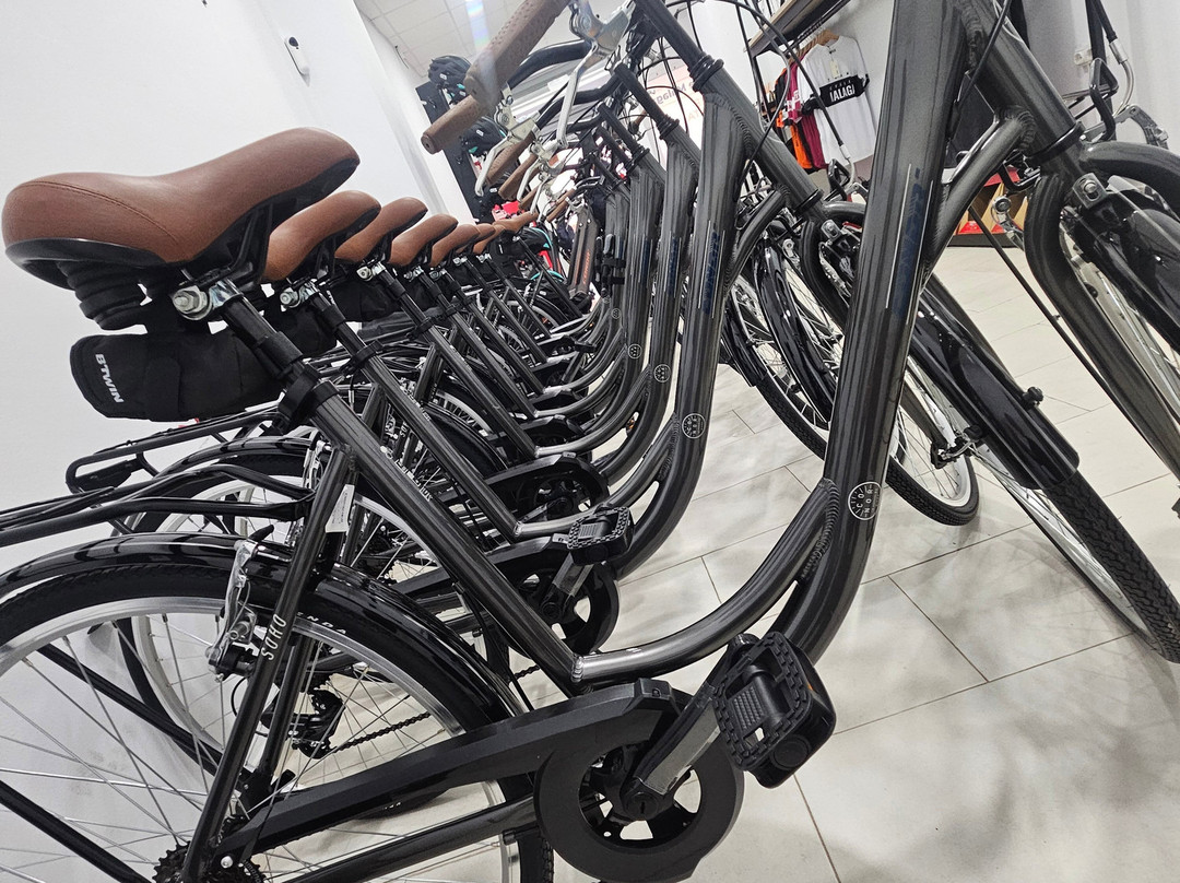 Cycle Malaga景点图片