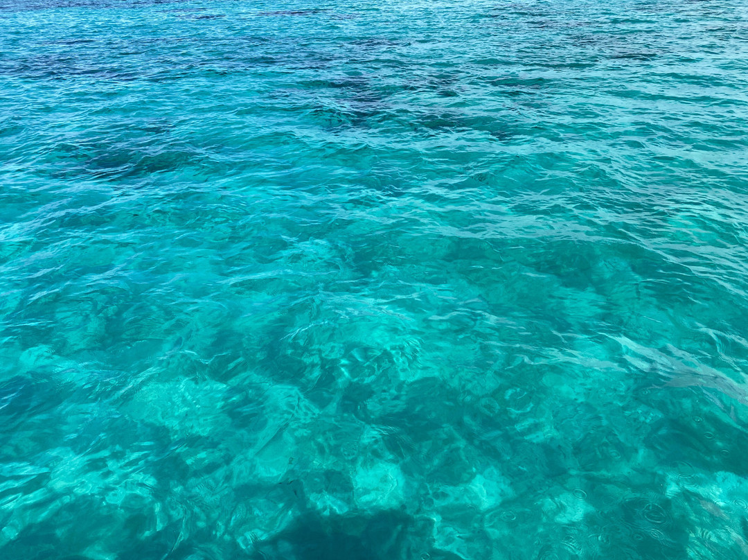 Ningaloo Reef Dive-珊瑚湾必去景点