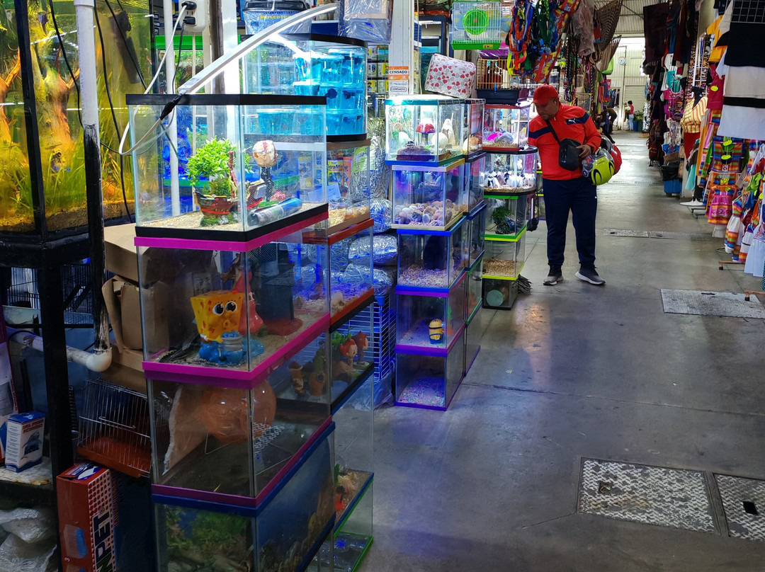 Mercado 20 De Noviembre-瓦哈卡必去景点