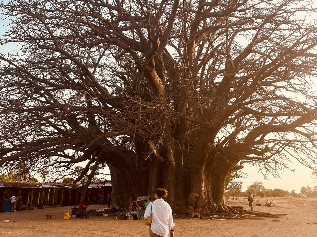 Sen Tourisme Senegal景点图片