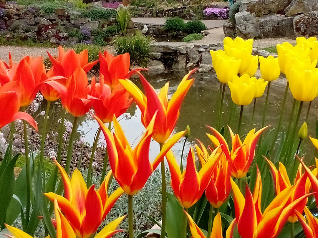 Burnby Hall Gardens and Museum景点图片