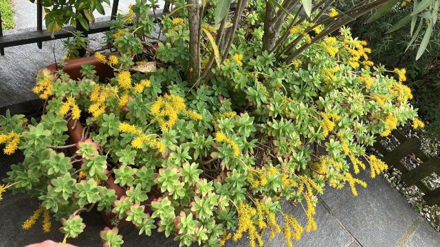 伊尔费里欧洛住宿加早餐旅馆-官方