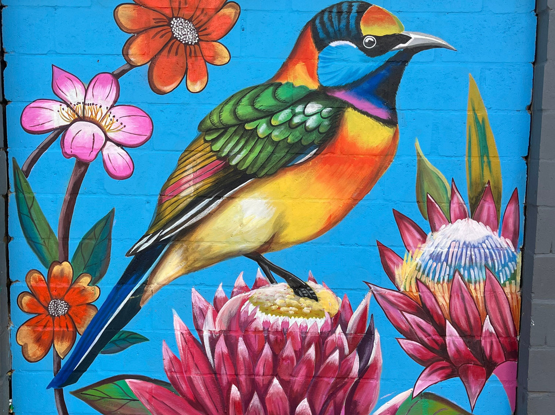 Paint Magic Township Art Tours景点图片