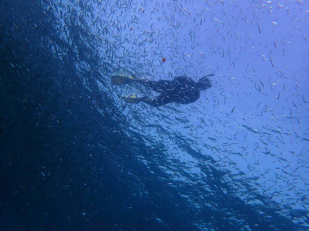 Snorkel Tobago-克朗波因特必去景点