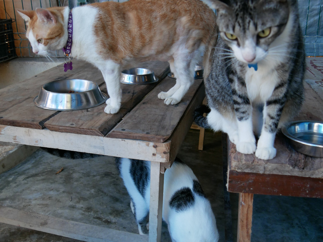 Refugio Holbox-Holbox Island必去景点
