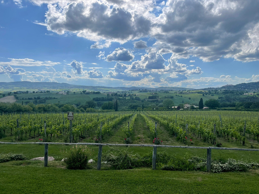 Antonelli San Marco-Montefalco必去景点