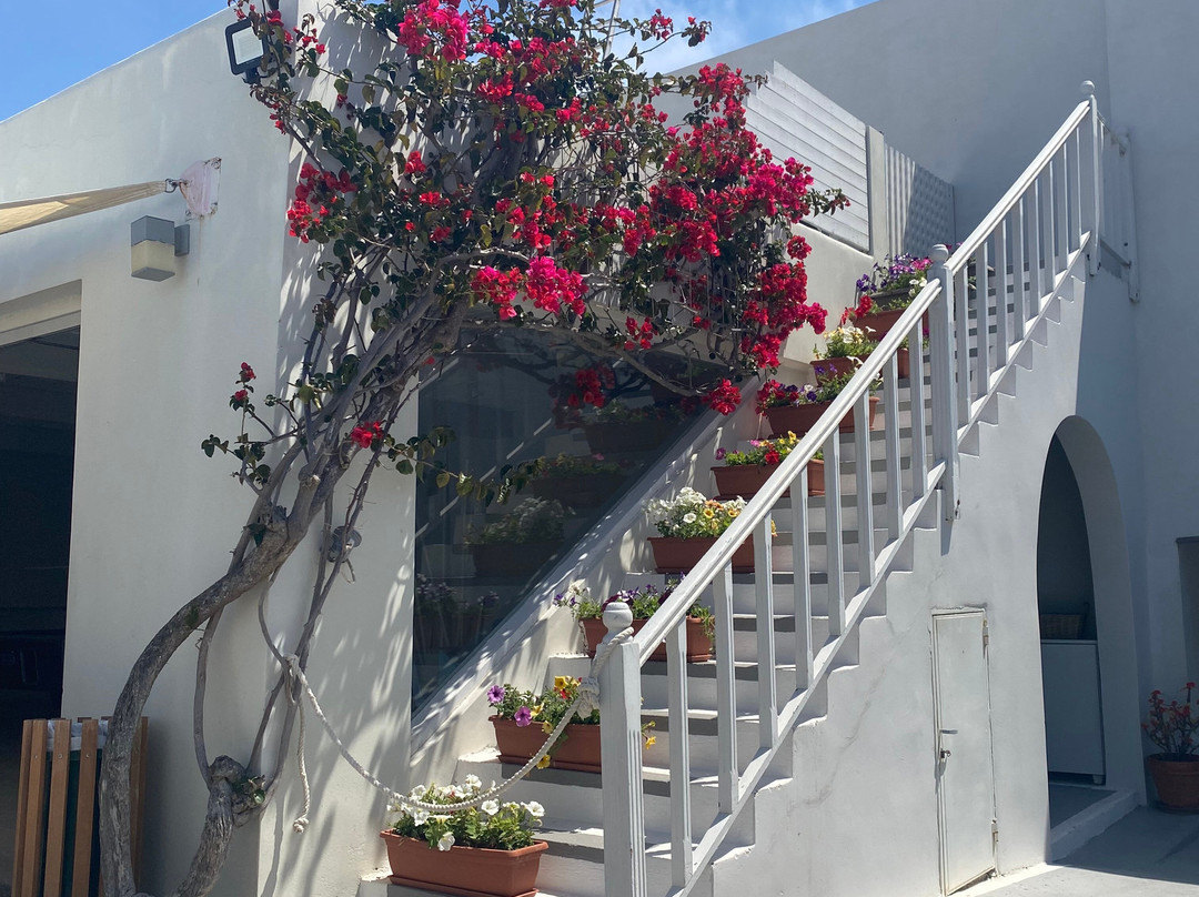 Nissia Kamares Hotel Apartments主图
