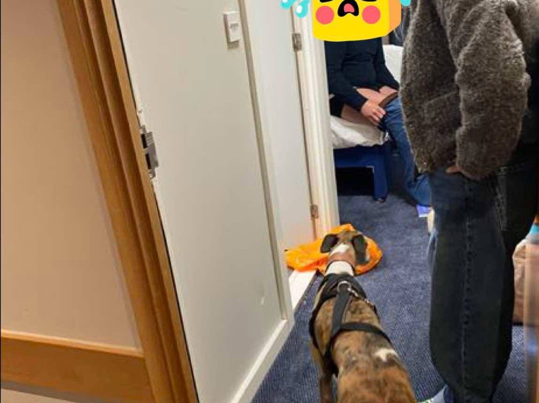 Travelodge London Ealing主图