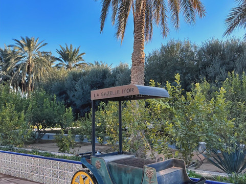 La Gazelle d'Or Resort & Spa