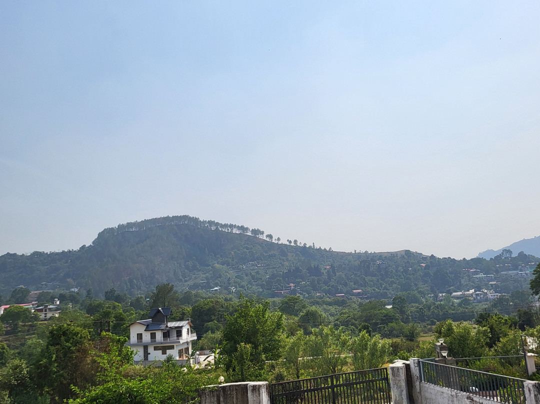 Hotel Spring Birds主图