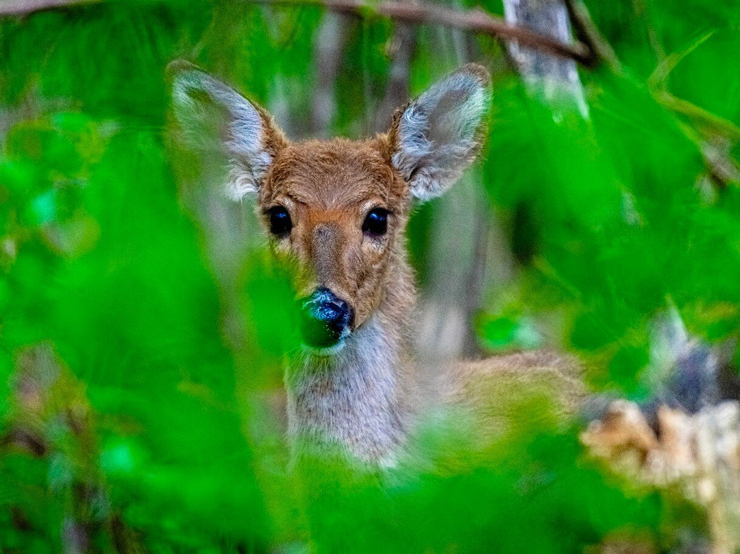 The Grove-格伦维尤必去景点