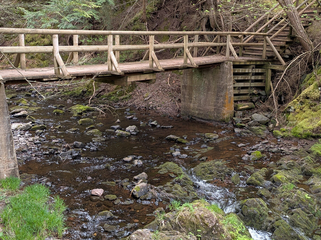 Victoria Park-Truro必去景点