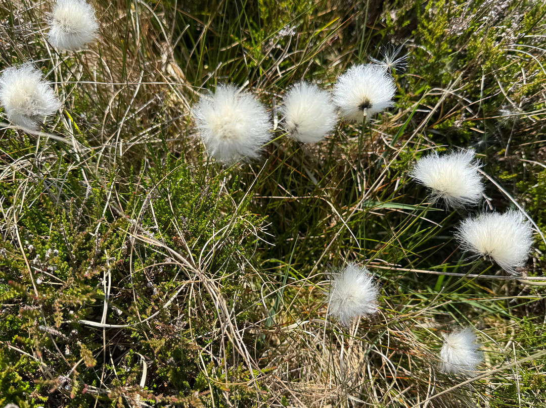 Céide Fields-County Mayo必去景点
