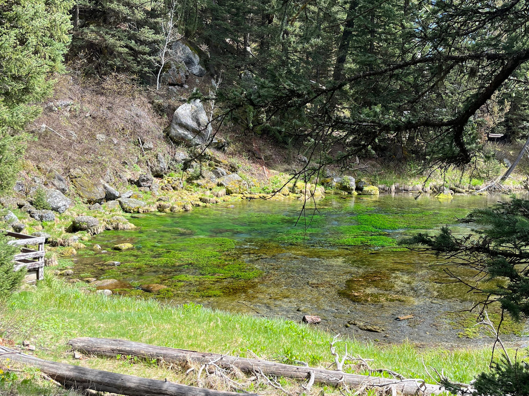 Big Springs-艾兰帕克必去景点