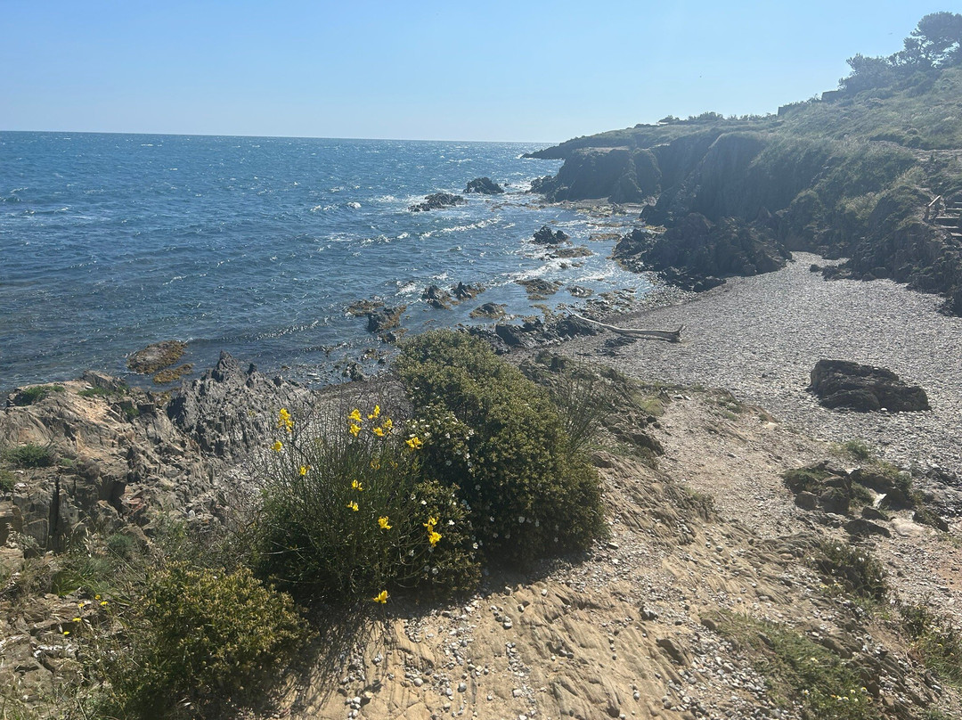Sentier du Littoral景点图片