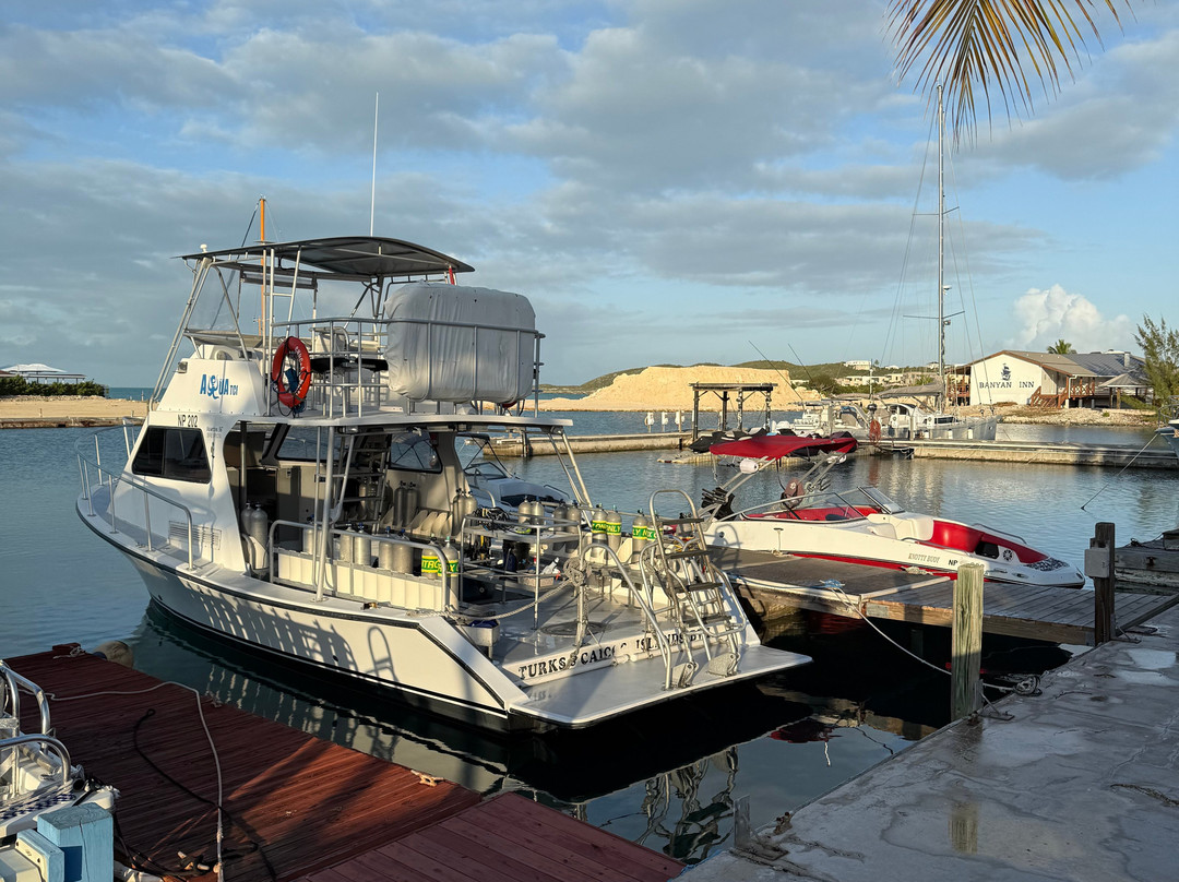 Aqua TCI-普罗维登西亚莱斯必去景点