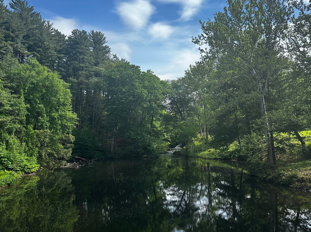 Journey Inn Bed & Breakfast主图