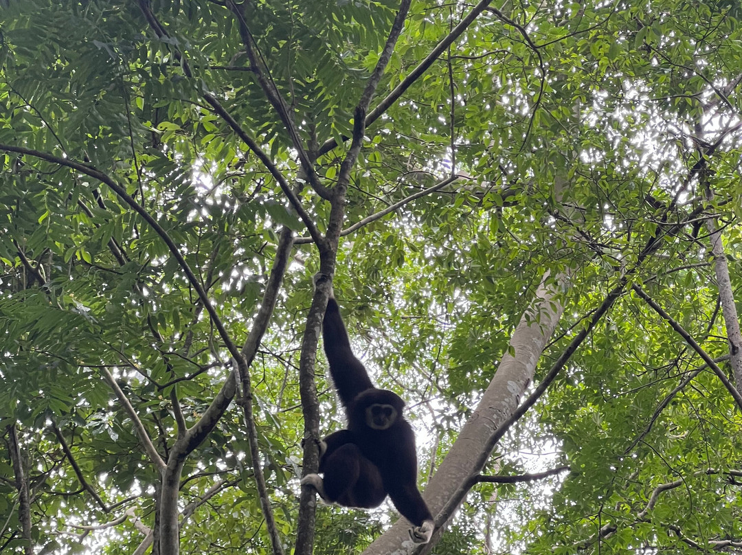 Eco Tours Chiang Mai-清迈必去景点