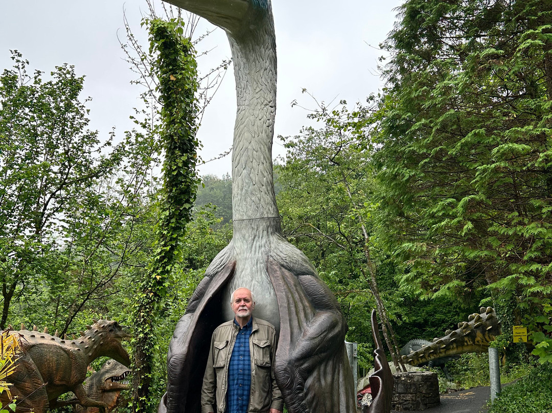 The National Showcaves Centre for Wales景点图片