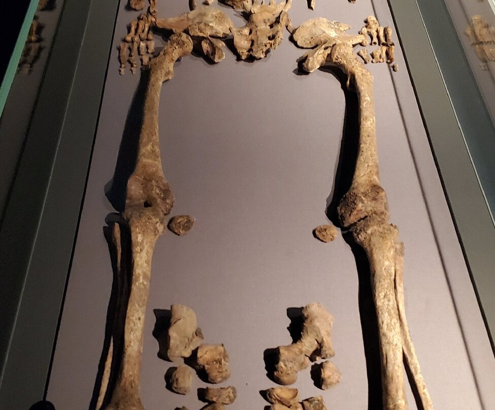 Bryggens Museum - Bymuseet i Bergen-卑尔根必去景点