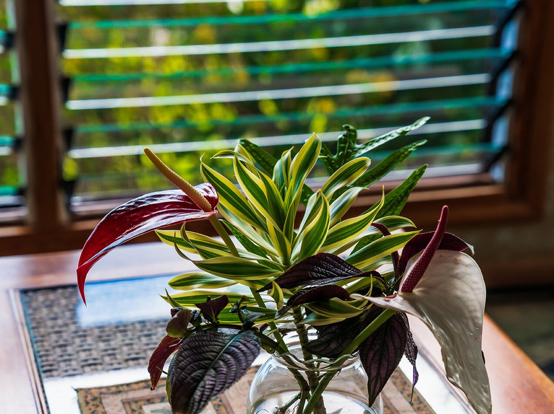 阿洛哈宾馆主图