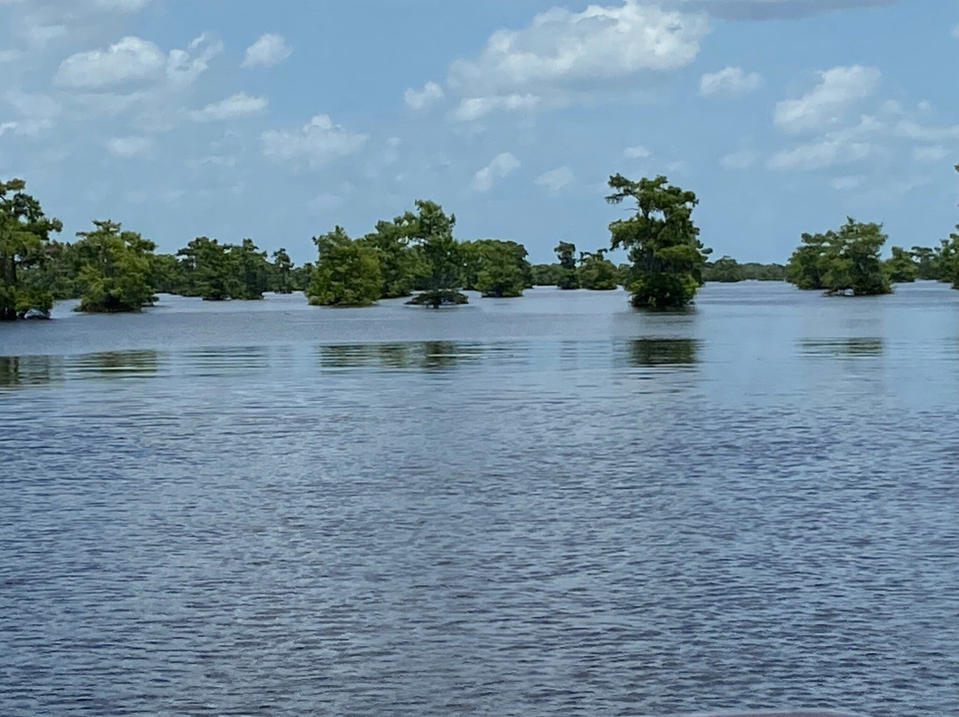 Atchafalaya Basin Landing & Airboat Swamp Tours景点图片