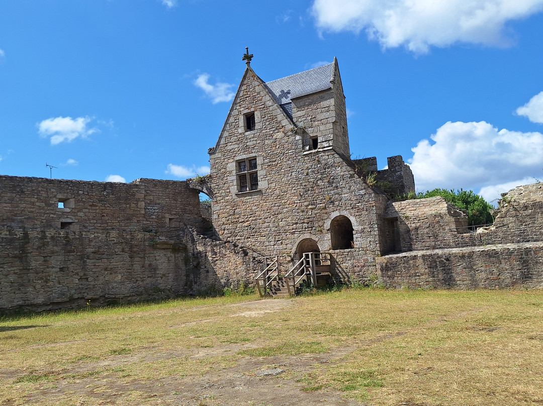 Chateau de Clisson景点图片