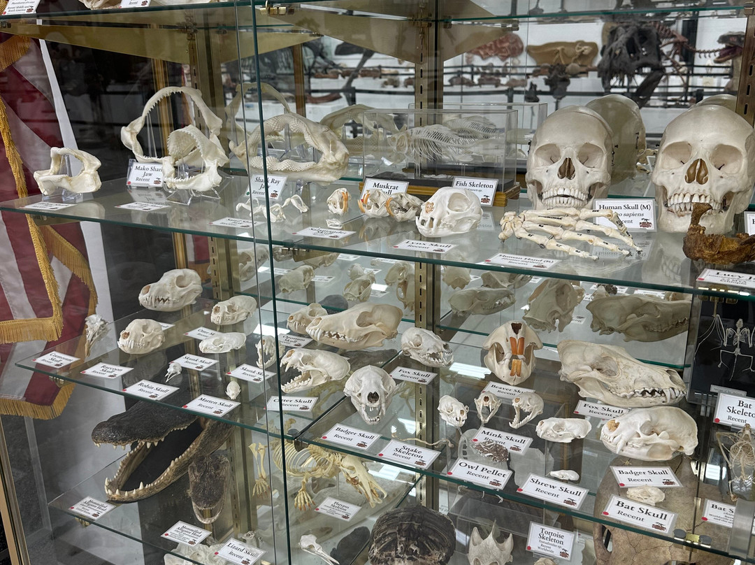 Jurupa Mountains Discovery Center-里弗赛德必去景点