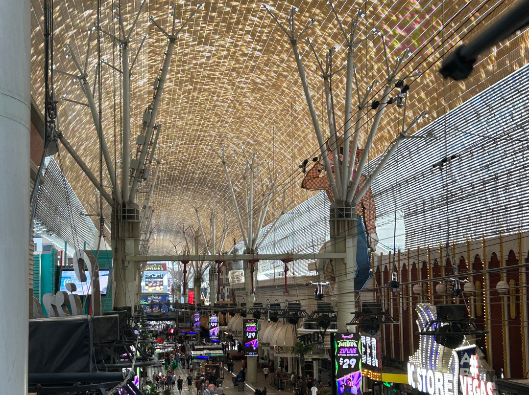 SlotZilla Zip Line Las Vegas-拉斯维加斯必去景点