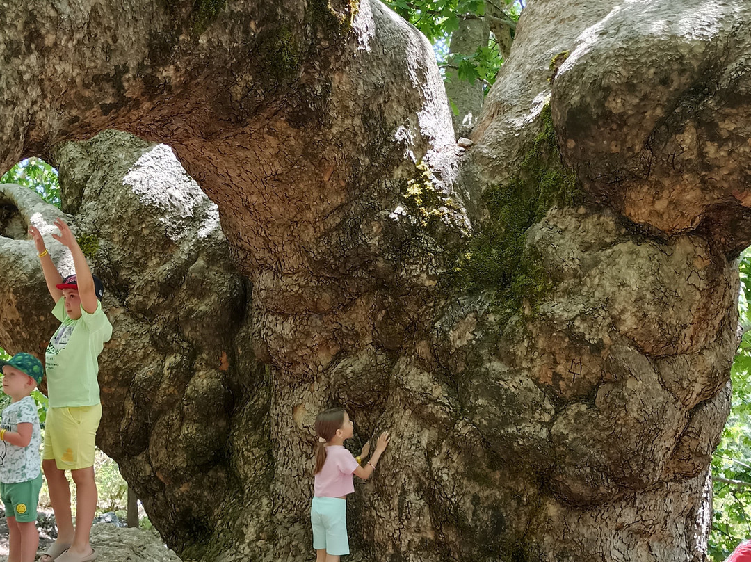 Ferdaus Travel-凯梅尔必去景点