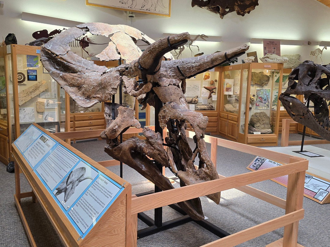 Tate Geological Museum-卡斯珀必去景点