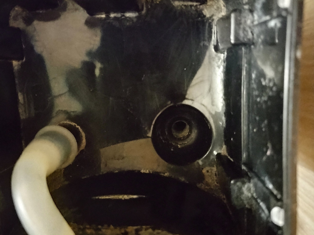 Days Inn by Wyndham Brampton主图