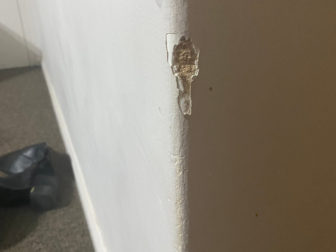 Lindy Lodge Motel主图