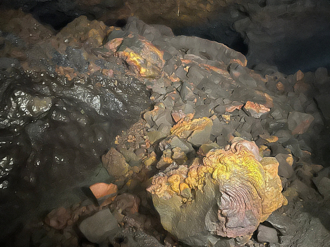 Tunnels de lave Réunion: Volcanorun景点图片