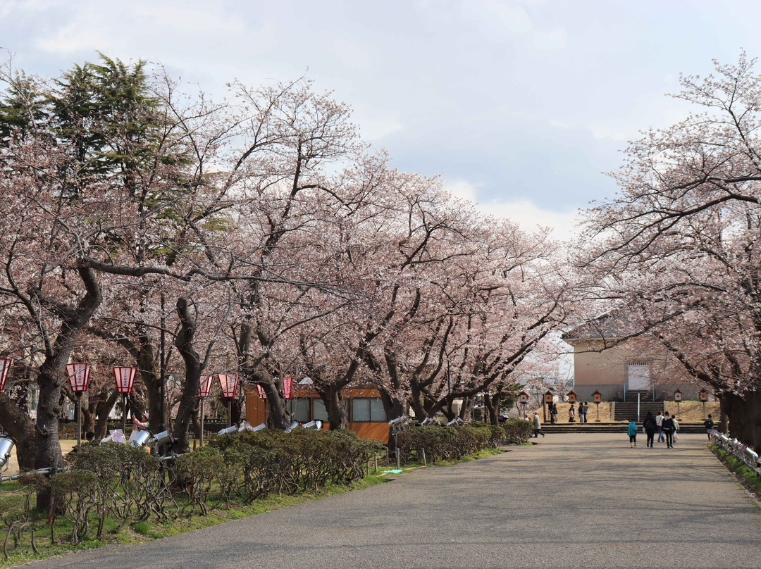 Takada Park-上越市必去景点