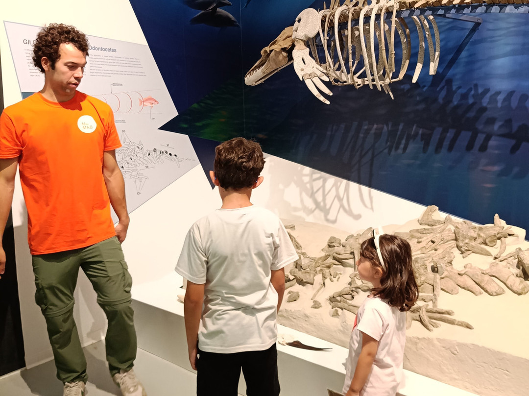 MuMAB - Museo Mare Antico e Biodiversita-萨尔索马焦雷泰尔梅必去景点