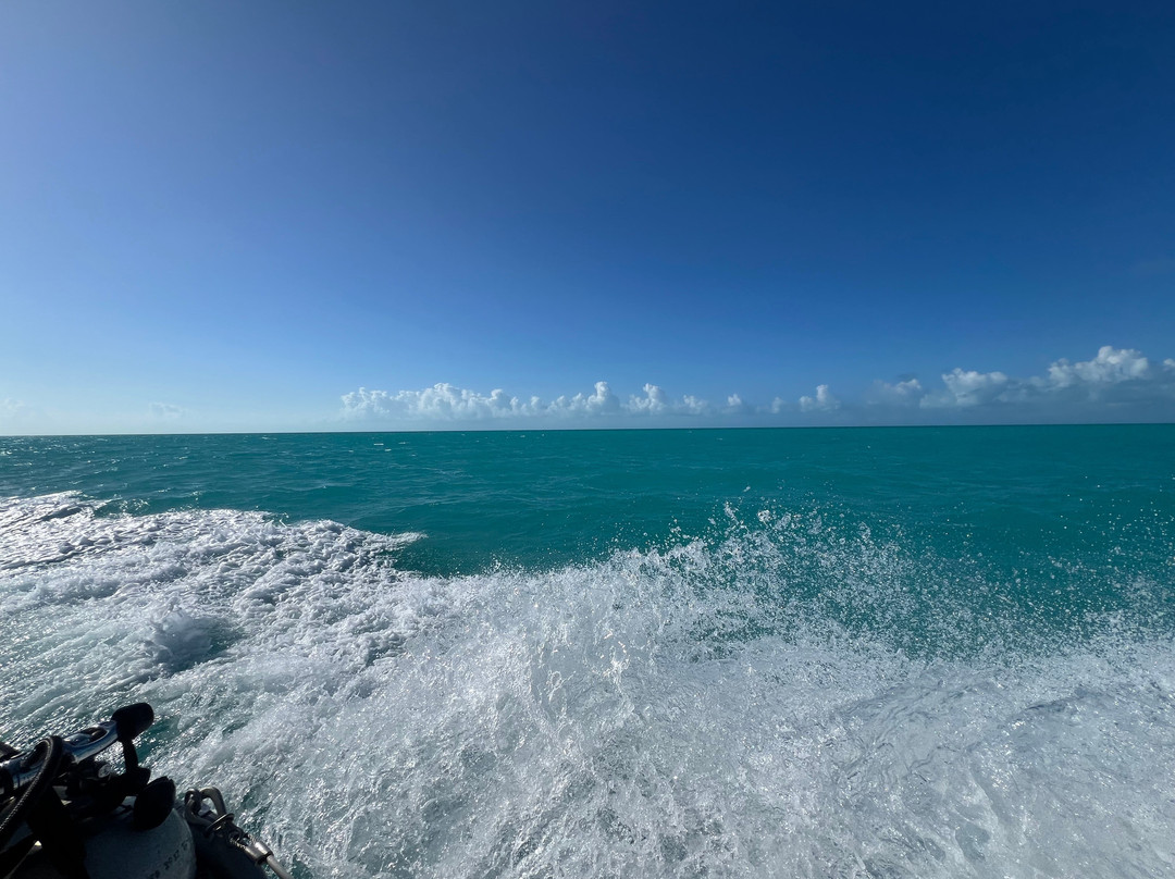 Dive Provo-普罗维登西亚莱斯必去景点