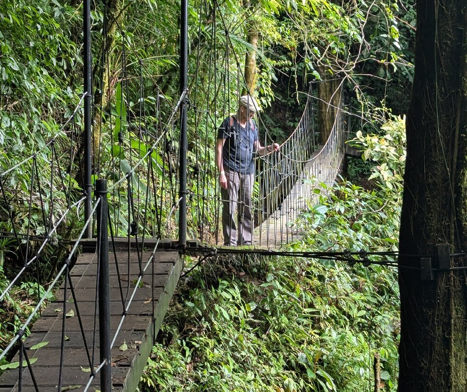 Los Pinos - Cabañas & Reserva主图