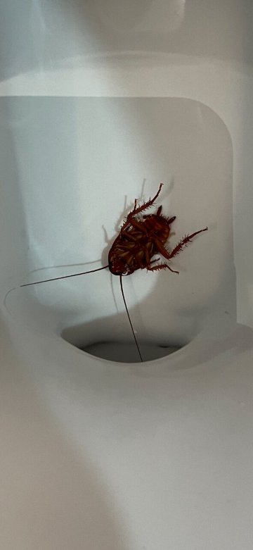 希尔顿酒店-夏洛特大学广场-客卧