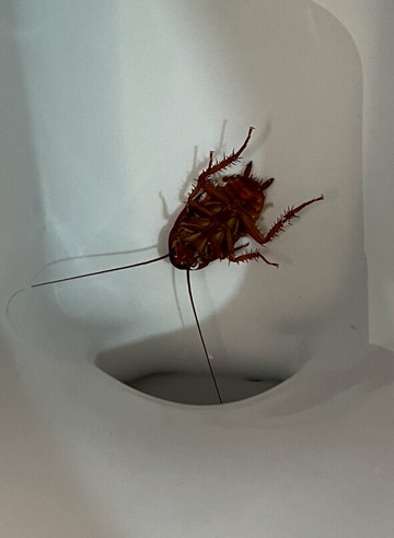 希尔顿酒店-夏洛特大学广场主图