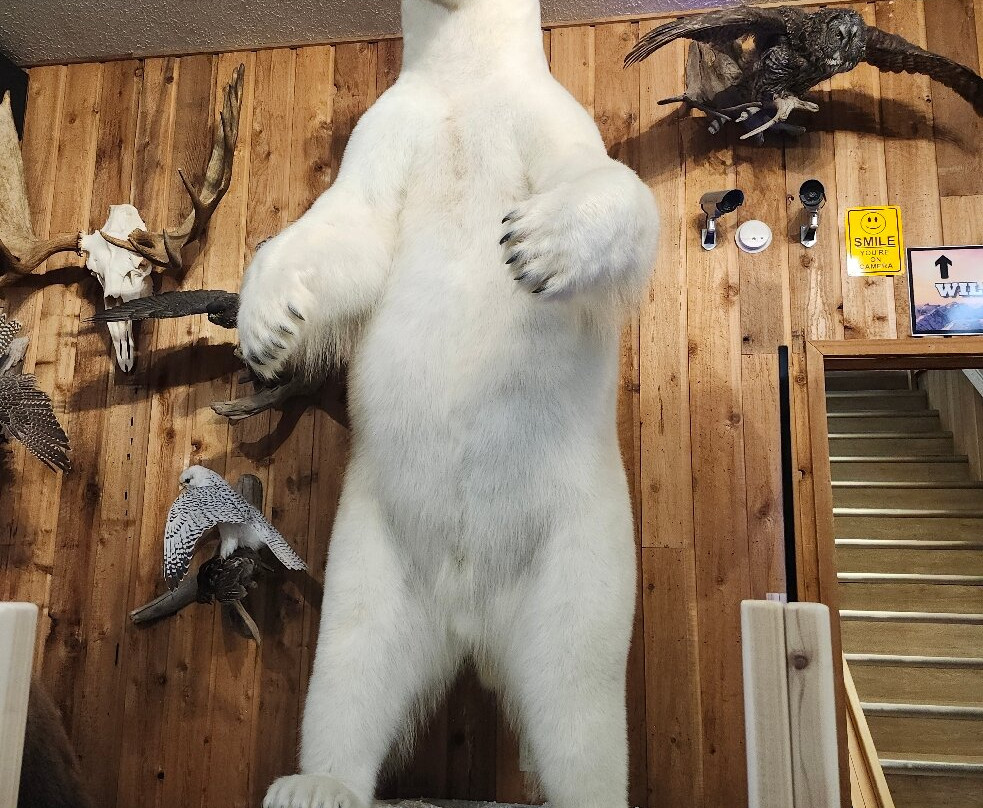 Canadian Wildlife Museum and Gift Shop-弗农必去景点