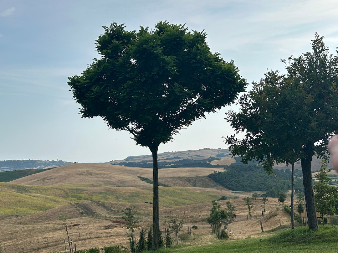 Agriturismo Re Tarquinio主图