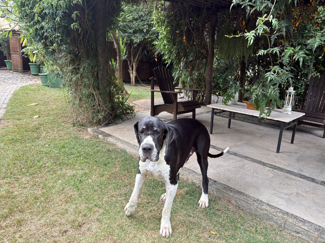 Pousada Celeiro do Gutto主图