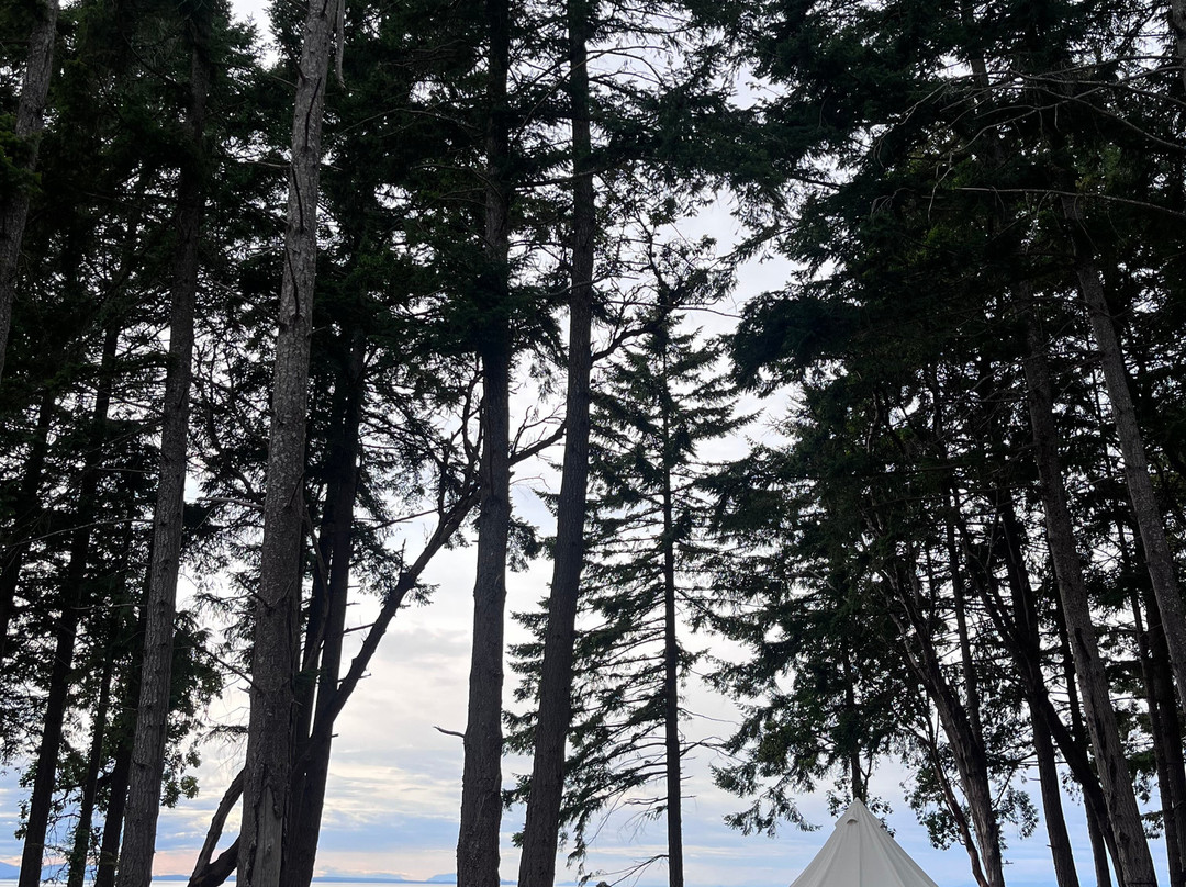 Fossil Beach Farm-Hornby Island必去景点