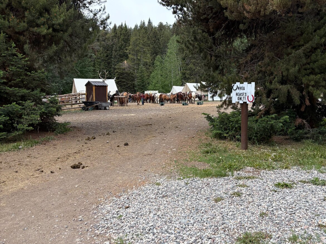 Swift Creek Outfitters & Teton Horseback Adventures-莫兰必去景点