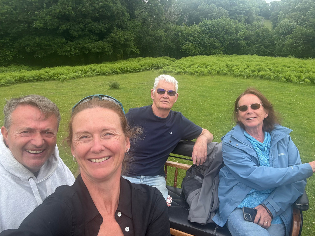Devon Shire Carriages-North Bovey必去景点