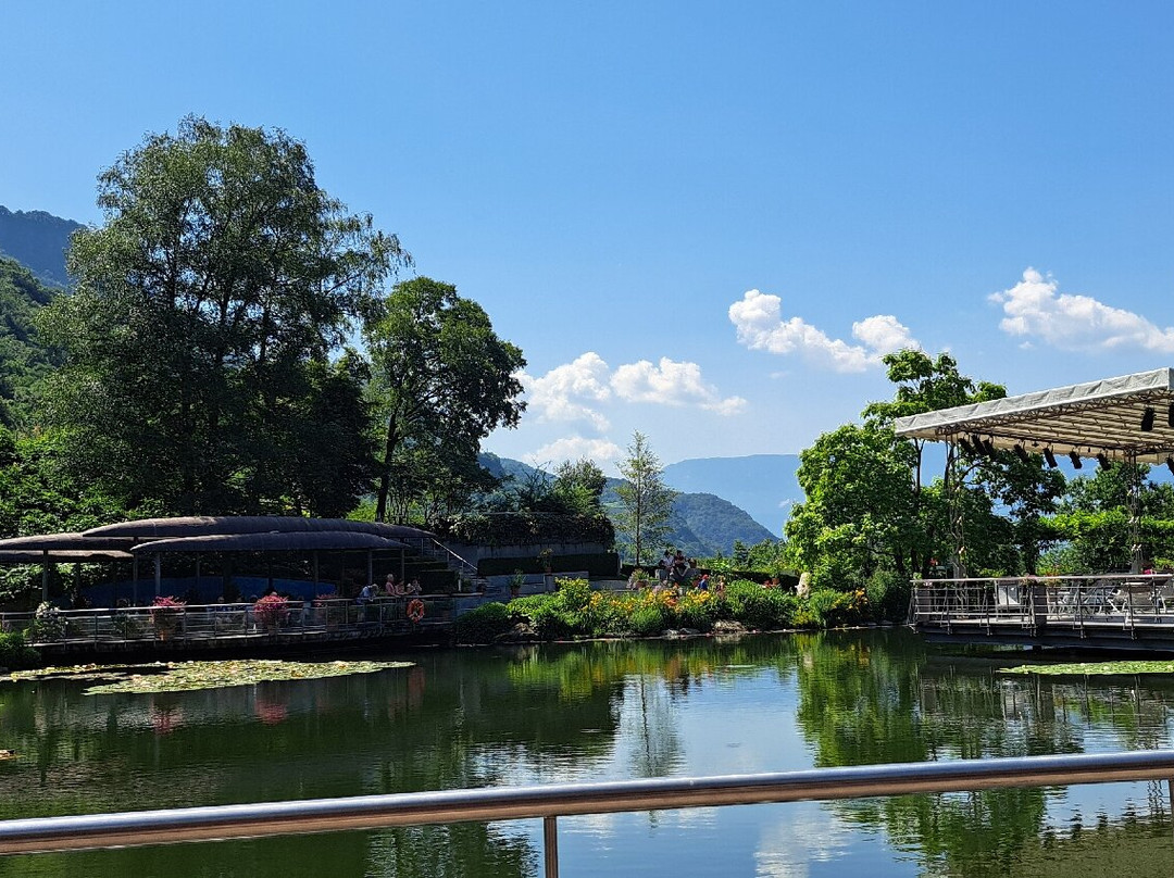 Hotel Garni Andrianerhof主图