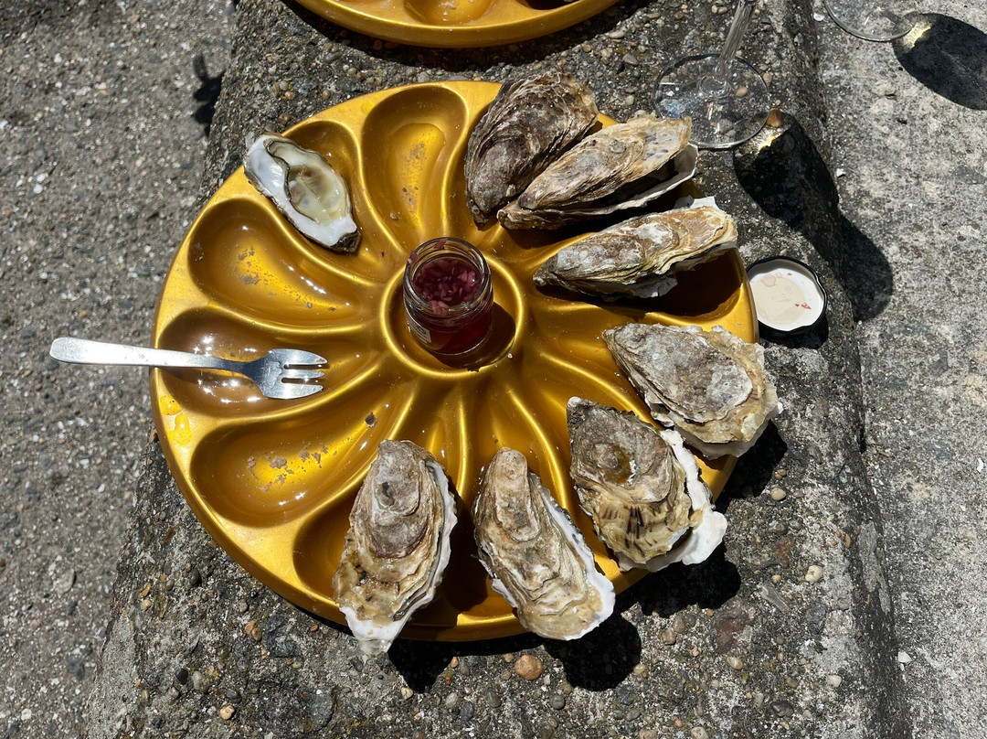 Port de le Houle-康卡勒必去景点
