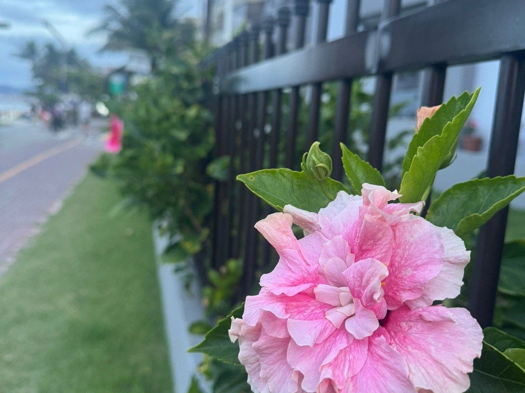 Itapema Beach-Itapema必去景点