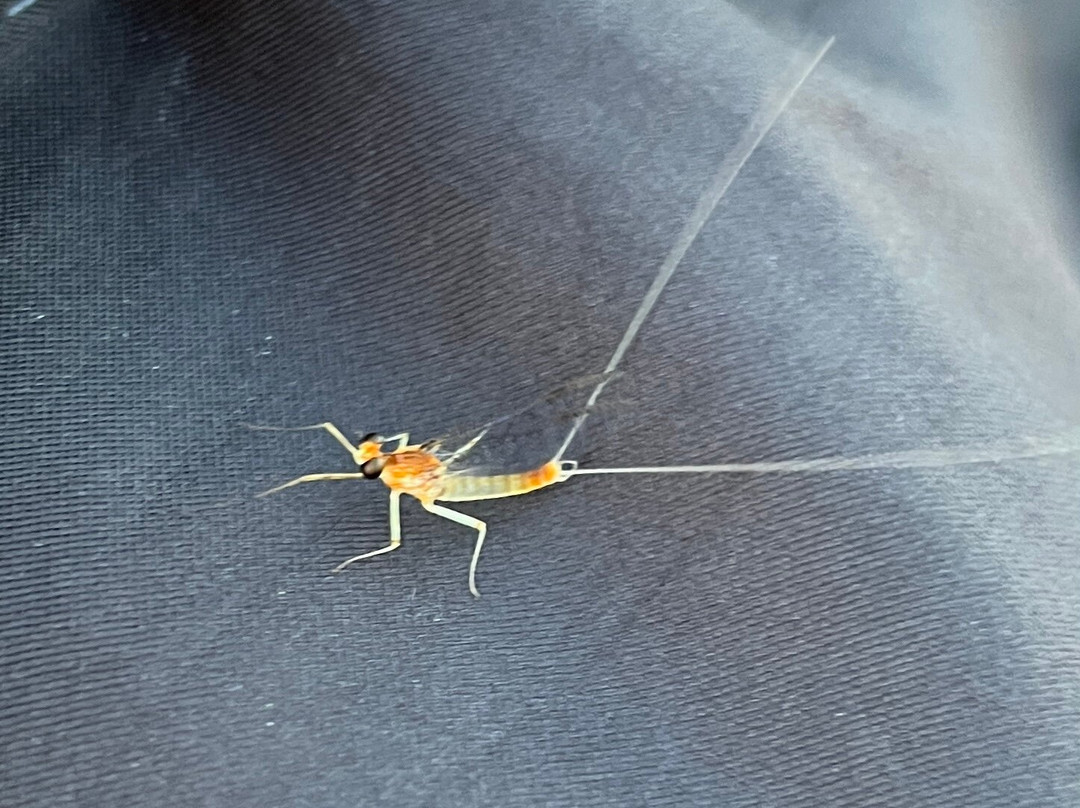 Friends of Ford's Pond-Sutherlin必去景点